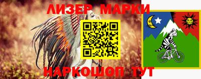крисы Кингисепп