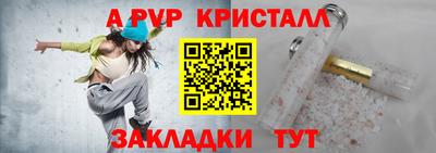 крисы Кингисепп