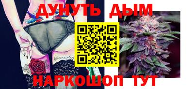 крисы Кингисепп