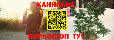 крисы Кингисепп