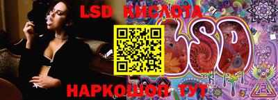 крисы Кингисепп