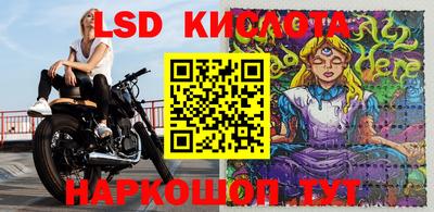крисы Кингисепп