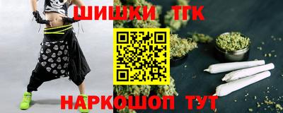 крисы Кингисепп