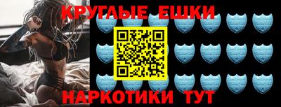 крисы Кингисепп