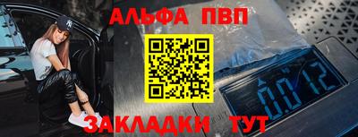 крисы Кингисепп