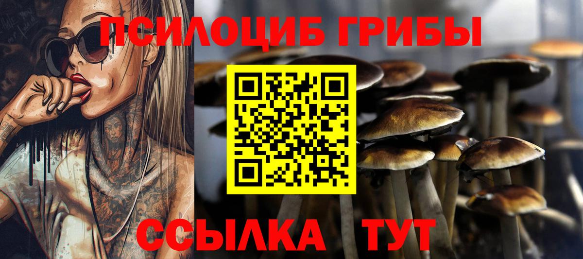 Галлюциногенные грибы GOLDEN TEACHER  Вход с VPN  Чехов  как найти закладки  Галлюциногенные грибы Magic Shrooms 