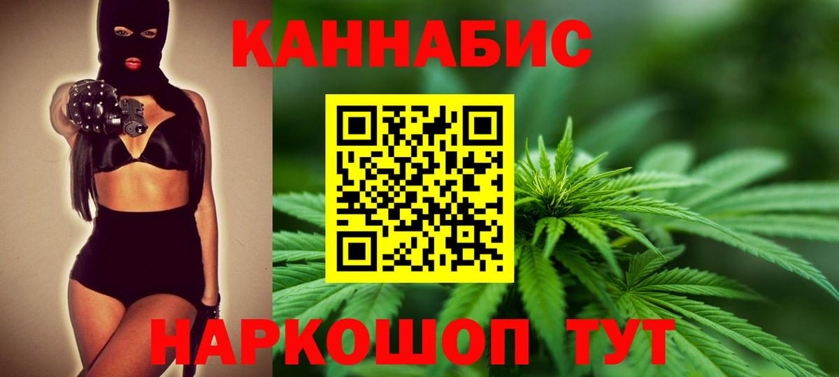 Шишки марихуана план  Бошки марихуана Ganja  Чехов  Вход с VPN  Канабис VHQ 